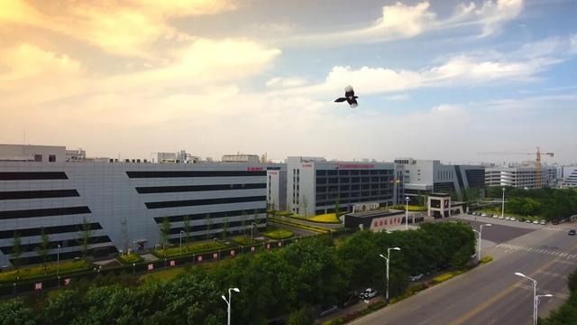 巴西药监局:兴发娱乐集团两产品“免检”了!